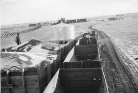 Grain wagons after unloading