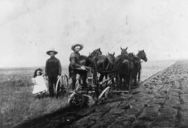 Five horses on a riding plow
