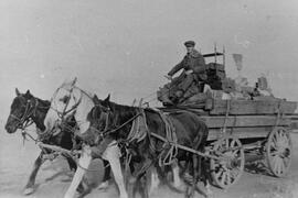 Hauling supplies with three horses