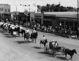 Horses, Riders and Buggy on Parade