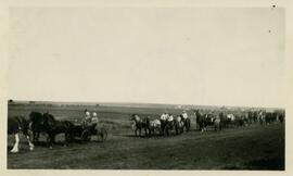 Parade of Horse Drawn Buggies at 1929 Fair