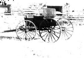 Horse drawn buggy