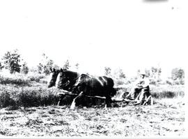 Historic Photos - Early Settlers - ca. 1890-1940 - Pioneer Farmer