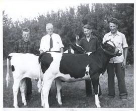4-H Members with Holstein Heifers