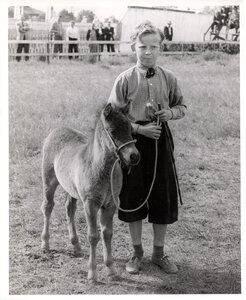 Animals ca. 1951-63 - Boy with Pony