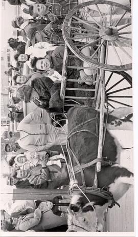 Canada's Centennial - Assiniboia - Steer-drawn Cart