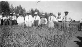 Seager Wheeler and a Group of Men Standing in a Crop