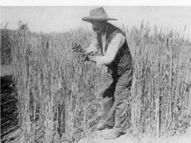 Seager Wheeler Checking Crops