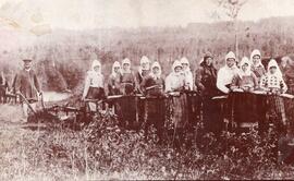Doukobor Women Pulling Plow, Printed on Postcard, Seager Wheeler
