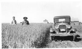 Vehicle in a Field