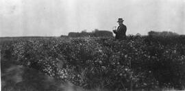 Seager Wheeler in a Field