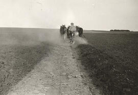 Agriculture - Plowing Matches - Sunningdale