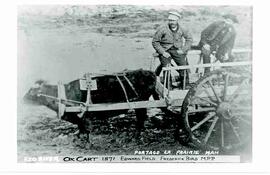 Red River Ox Cart