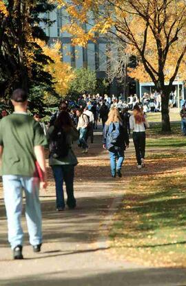 Students on Campus