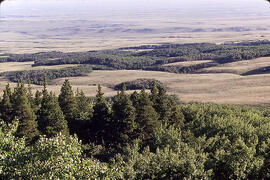 Valley in the Cypress Hills area of Saskatchewan