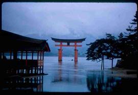 Japanese gate in water