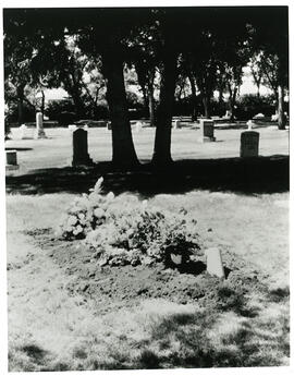 Richard St. Barbe Baker Grave