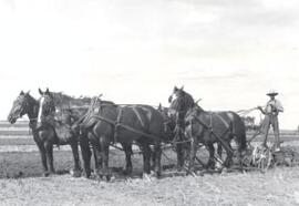 Agriculture - Plowing Matches