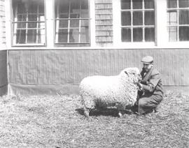 W. Jaffrey H. Tisdale With a Sheep