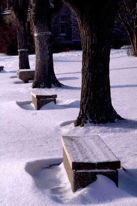 Winter benches