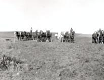 Agriculture - Plowing Matches - Sunningdale