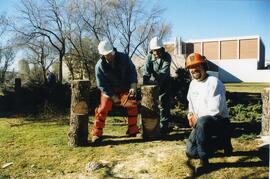 Tree Cutting Crew