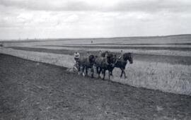 Agriculture - Plowing Matches - Wynyard