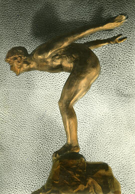 Swimming - Joe Griffiths Trophy