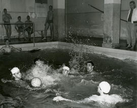 Water Polo Game - Action