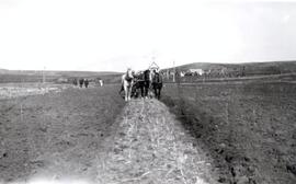 Agriculture - Plowing Matches - Herbert