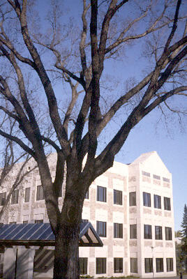 Administration Building - Addition - Exterior