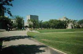 View of campus across the bowl