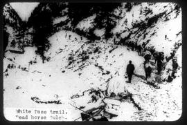 "White pass trail. Dead horse gulch"; Klondike Gold Rush