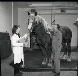 Western College of Veterinary Medicine - Equine Health