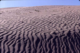 The Great Sand Hills