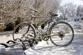 Winter bicycle