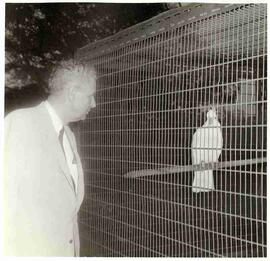 John Diefenbaker with a cockatoo