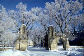 Hoar frost and Memorial Gates