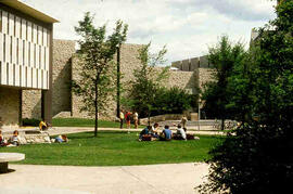 Students sitting on grass outside of arts building