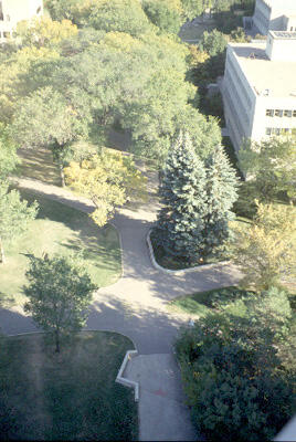 Campus - Scenic