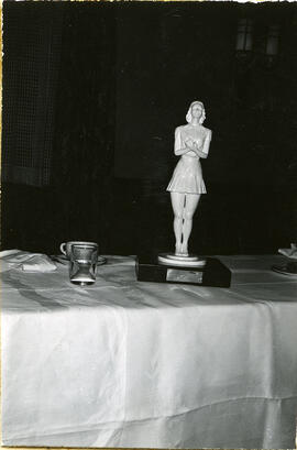 Spirit of Youth Trophy