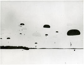 Armed Forces - Parachute Troops