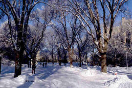 Winter view of campus
