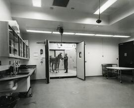 Western College of Veterinary Medicine Building - Large Animal Clinic