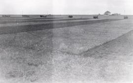 Agriculture - Plowing Matches - Wilkie