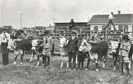 Farm Boys and Girls Club - Calf Club