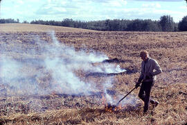 Farmer burning stubble off field near Emma Lake