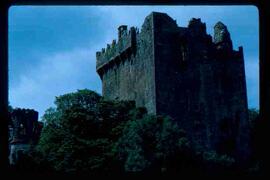 Balfour Castle, Ireland