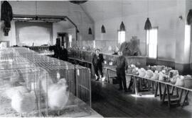 Poultry and Grain Exhibition - Melfort, Saskatchewan