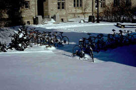 Rows of bikes in snow on campus